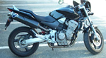 TERMIGNONI HONDA (テルミニョーニ ホンダ) HORNET 900 スリップオン・1サイレンサー STR
