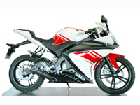 ヤマハ YZF-R125 サイレンサー(テルミニョーニ)